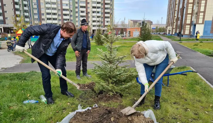 В Красноярске 88 % жителей поддерживают идею заботы об окружающей среде