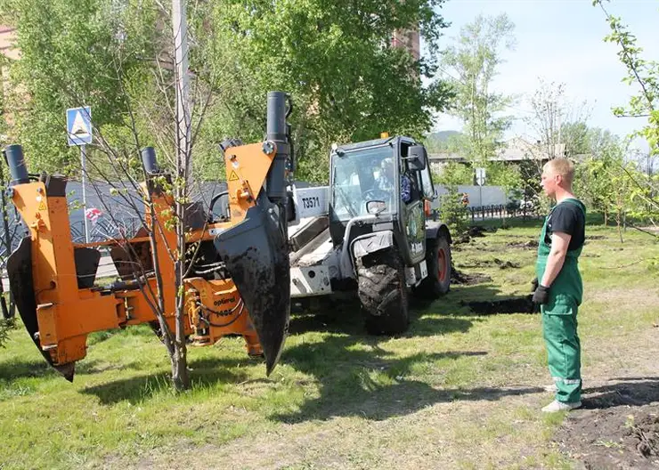 В Красноярске на проспекте Ульяновском высадят 3390 кустарников и деревьев