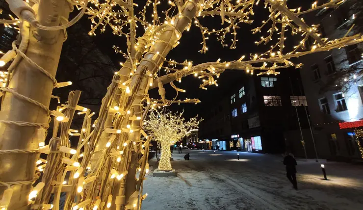 На Дзержинского в Красноярске установили 10 световых деревьев