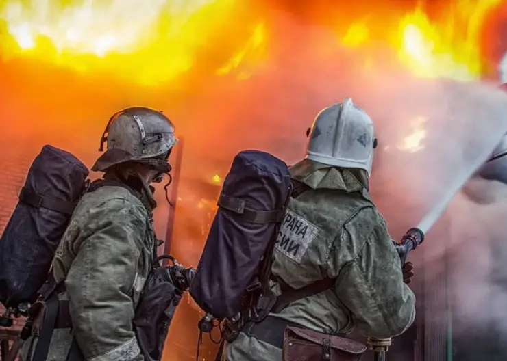 В Красноярском крае за неделю поступили более 300 ложных вызовов о пожарах