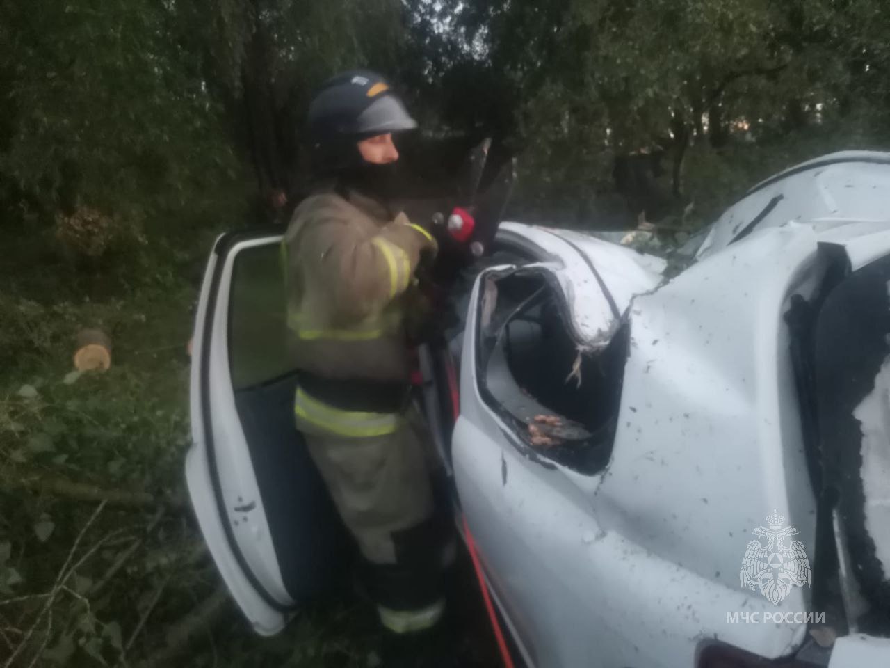 В Минусинском районе из-за урагана на машину с женщиной и ребенком упало  дерево - Gornovosti.Ru