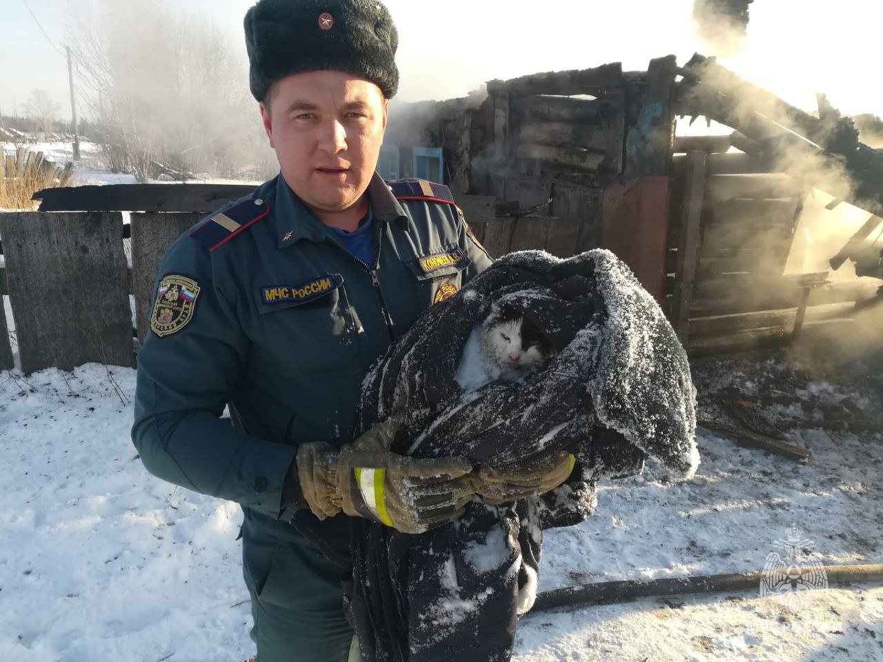 В Красноярском крае пожарные спасли кота из горящего дома