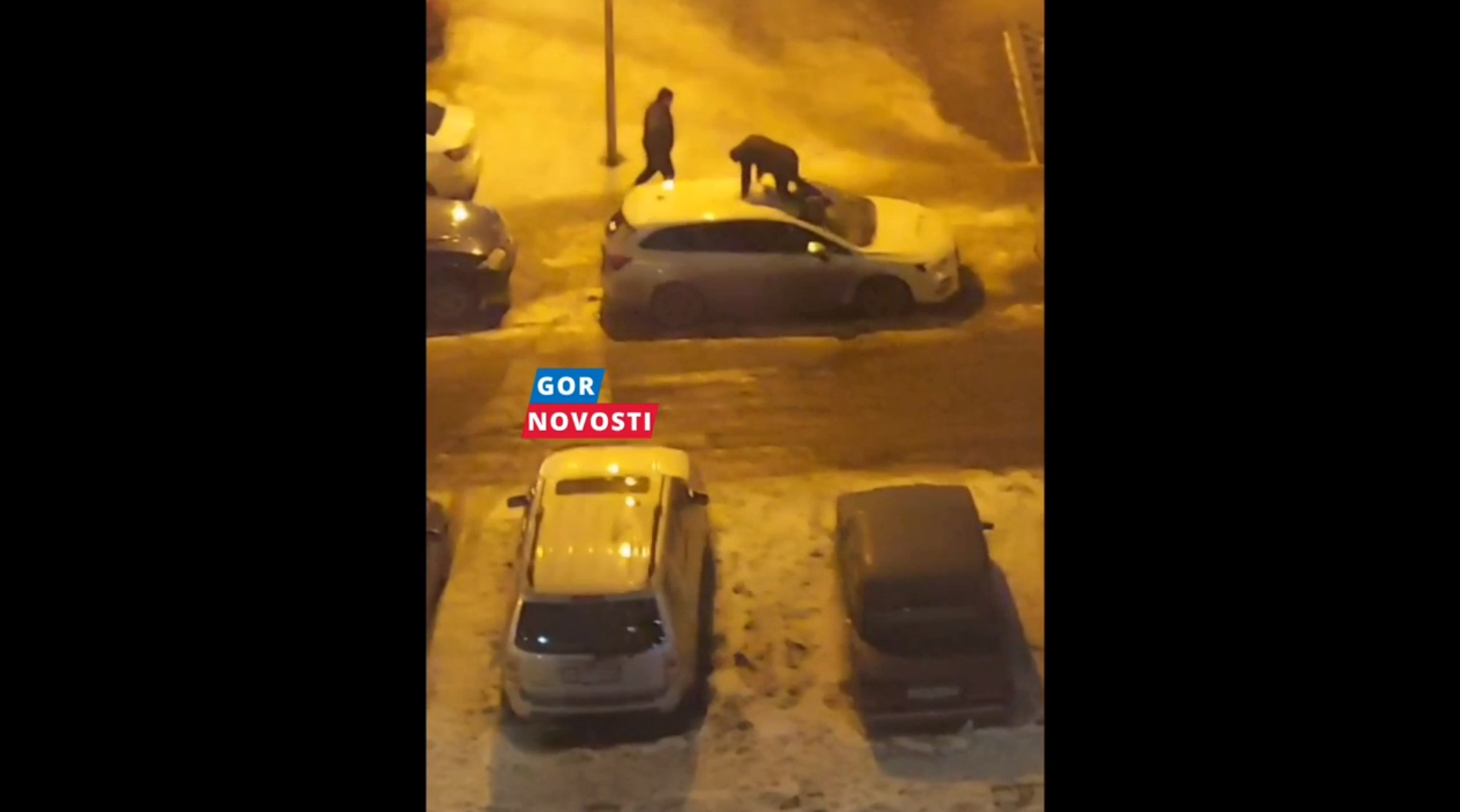 В Красноярске двое знакомых разбили автомобили друг друга из-за бытовой ссоры