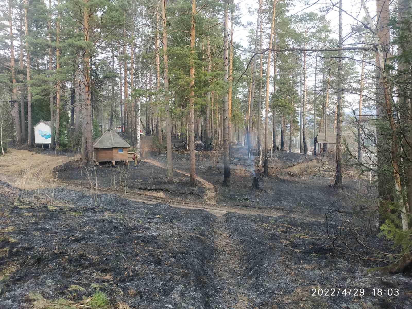 Экопарк манаград. Экопарк Манаград в Красноярске. Манаград Красноярск база отдыха. Манаград Красноярск фото.