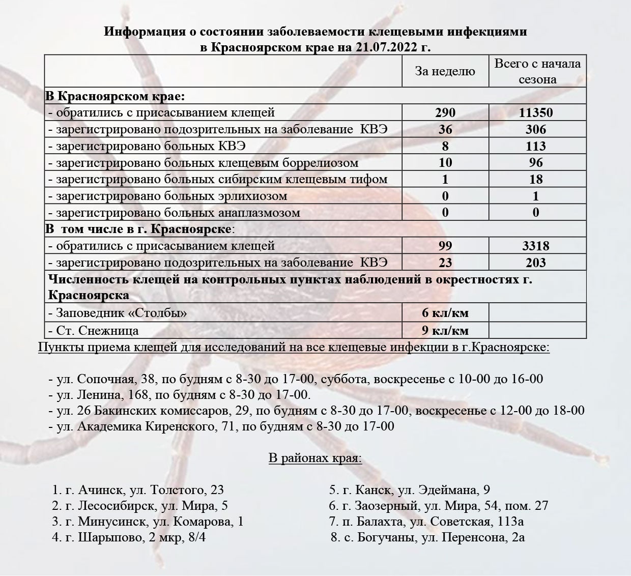 В Красноярском крае за неделю выявлено 290 случаев присасывания клещей -  Gornovosti.Ru