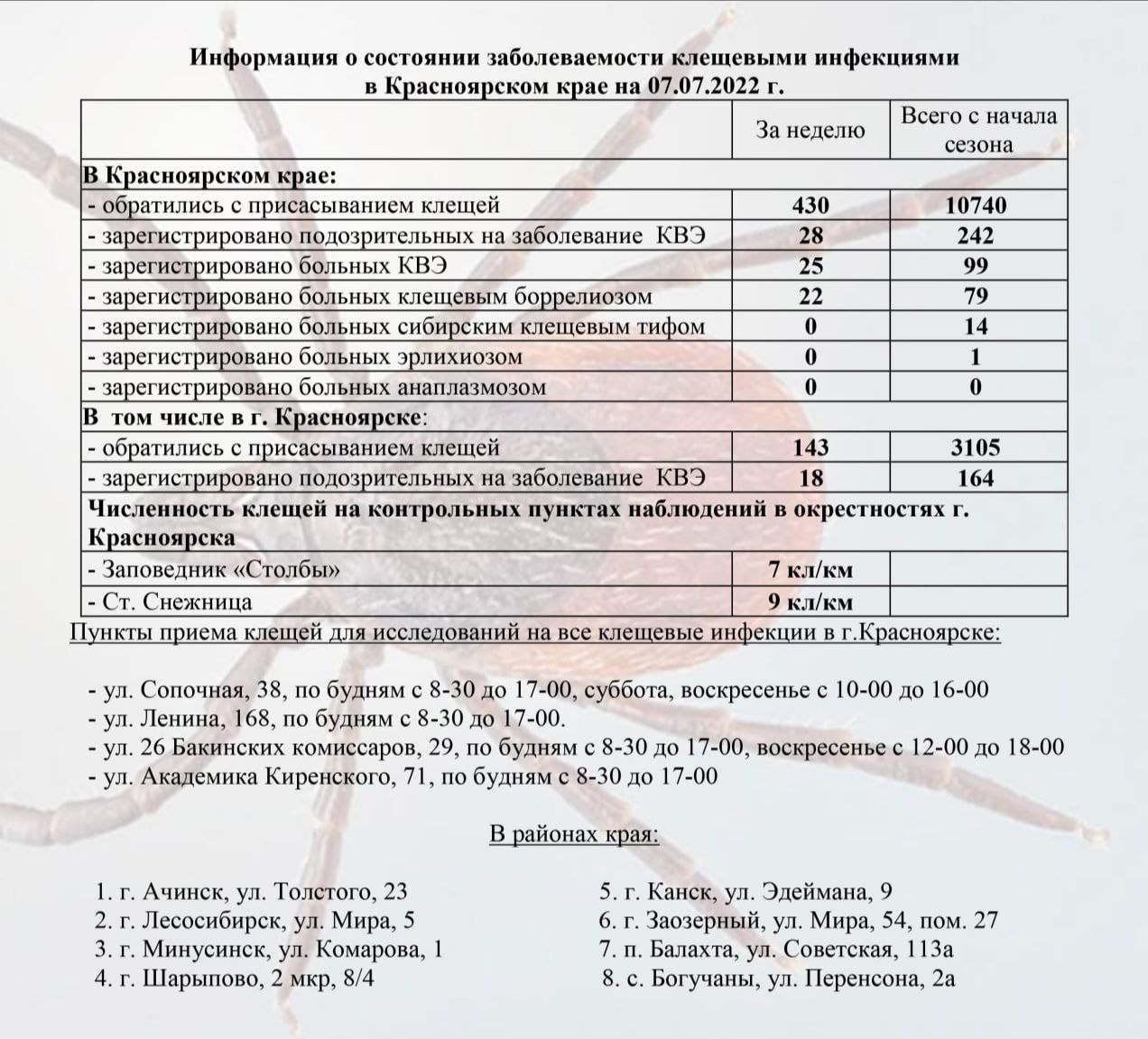 За неделю в Красноярском крае уменьшилось число укусов клещей в 1,5 раза -  Gornovosti.Ru