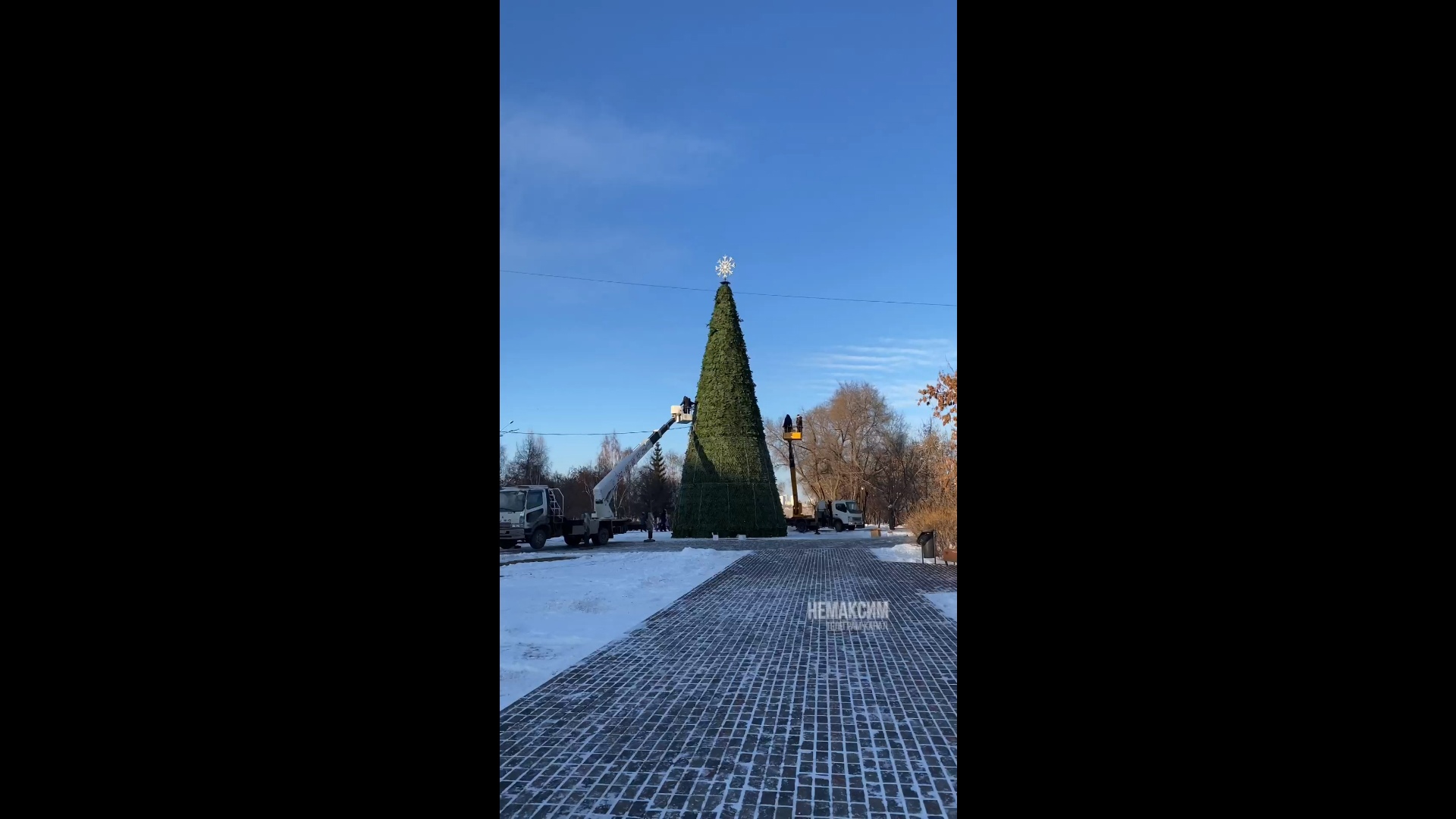 Елка сквер энтузиастов. Сквер чернышевского красноярск елка. Елка сквер энтузиастов. Парк энтузиастов. Сквер энтузиастов красноярск.