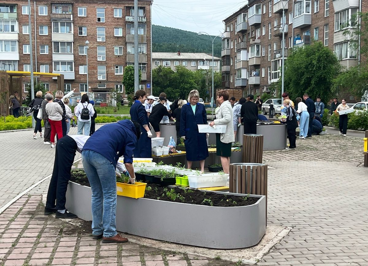 Озеленение территории города проект