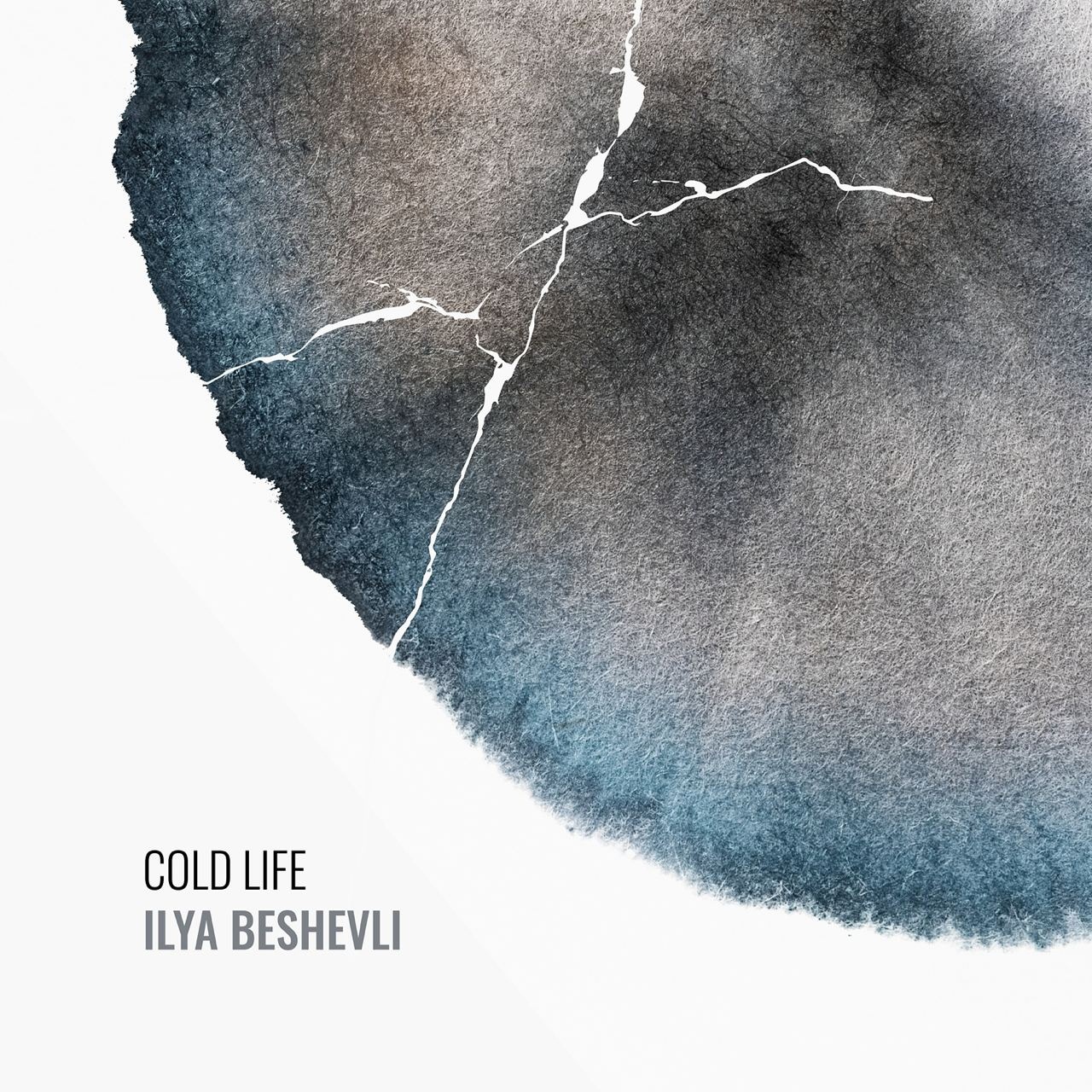 Обложка альбома «Cold Life