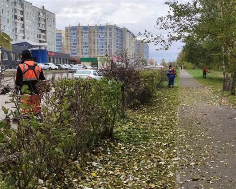 В Красноярске продолжают косить траву