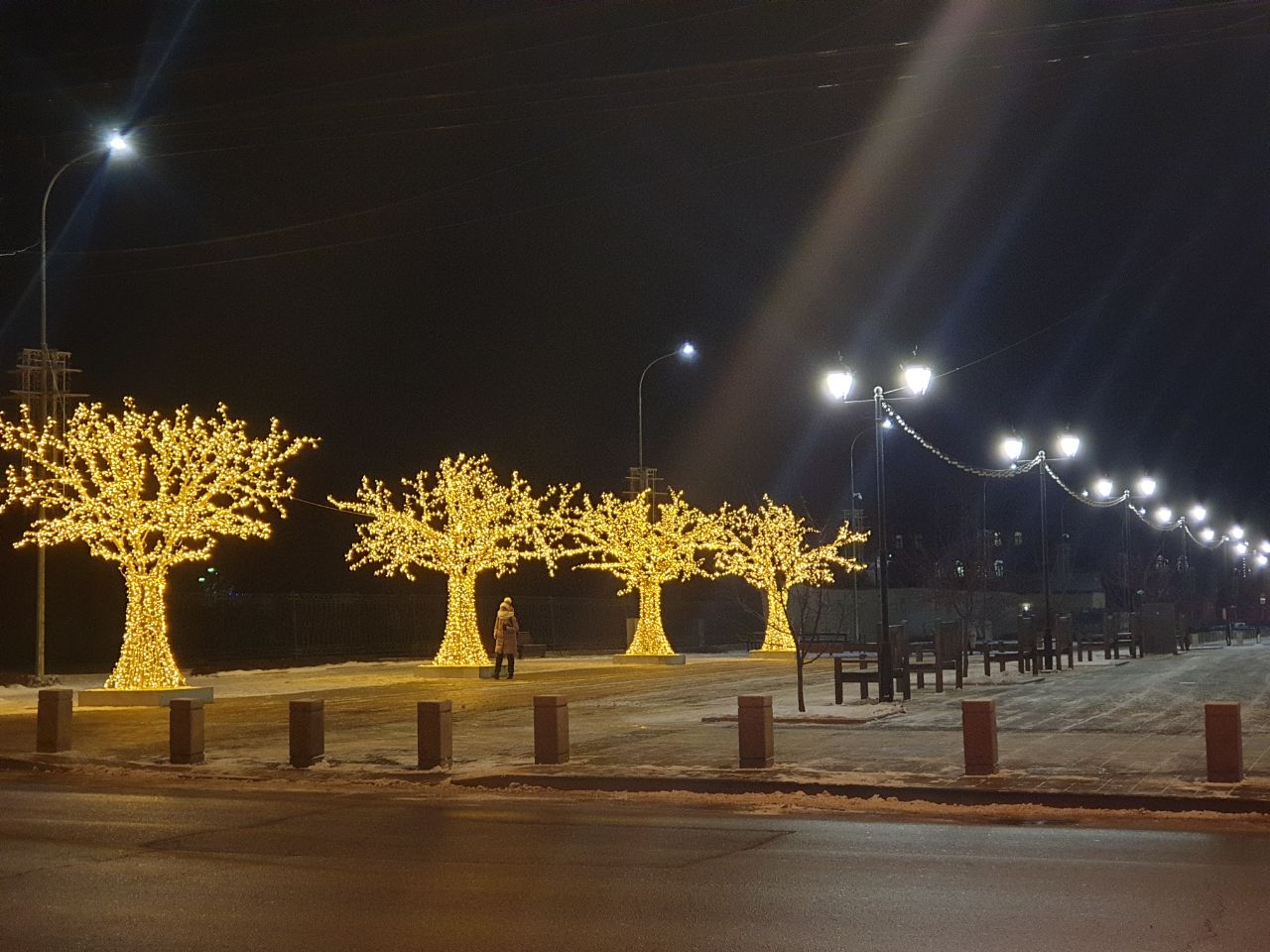 Улица светящихся деревьев