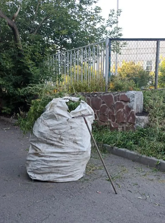 В Красноярске 46 участков очистили от наркосодержащих растений