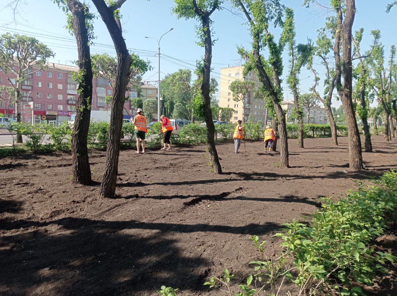 В Красноярске на променаде «Красноярского рабочего» высаживают газон