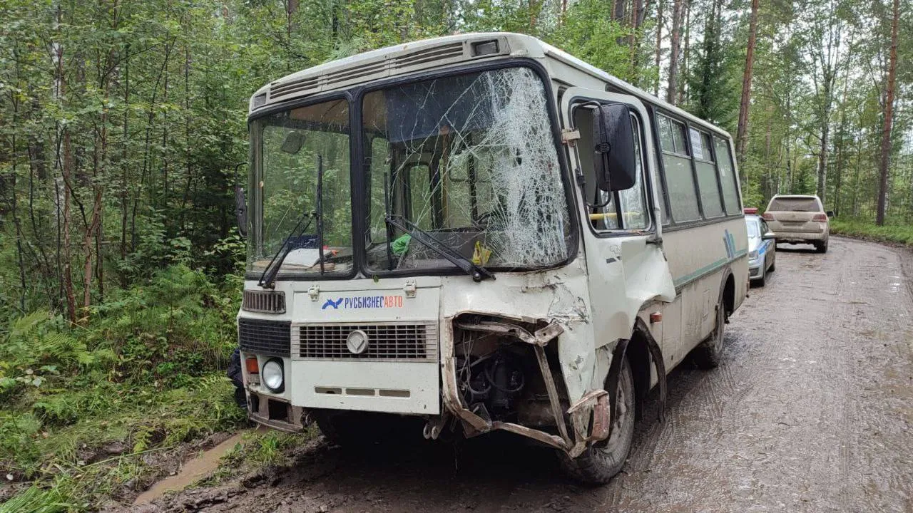 Водитель, устроивший аварию с 7 пострадавшими на трассе в Курагинском районе,  был пьян - Gornovosti.Ru