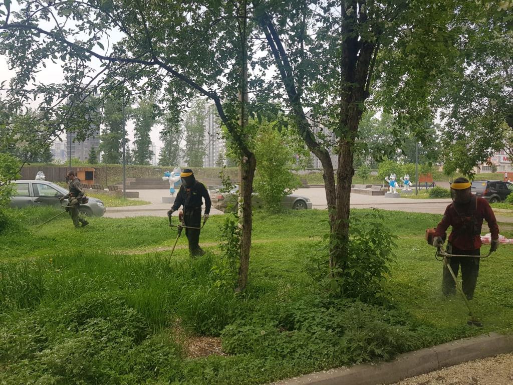 Покосом травы в Красноярске ежедневно занимается до 100 человек