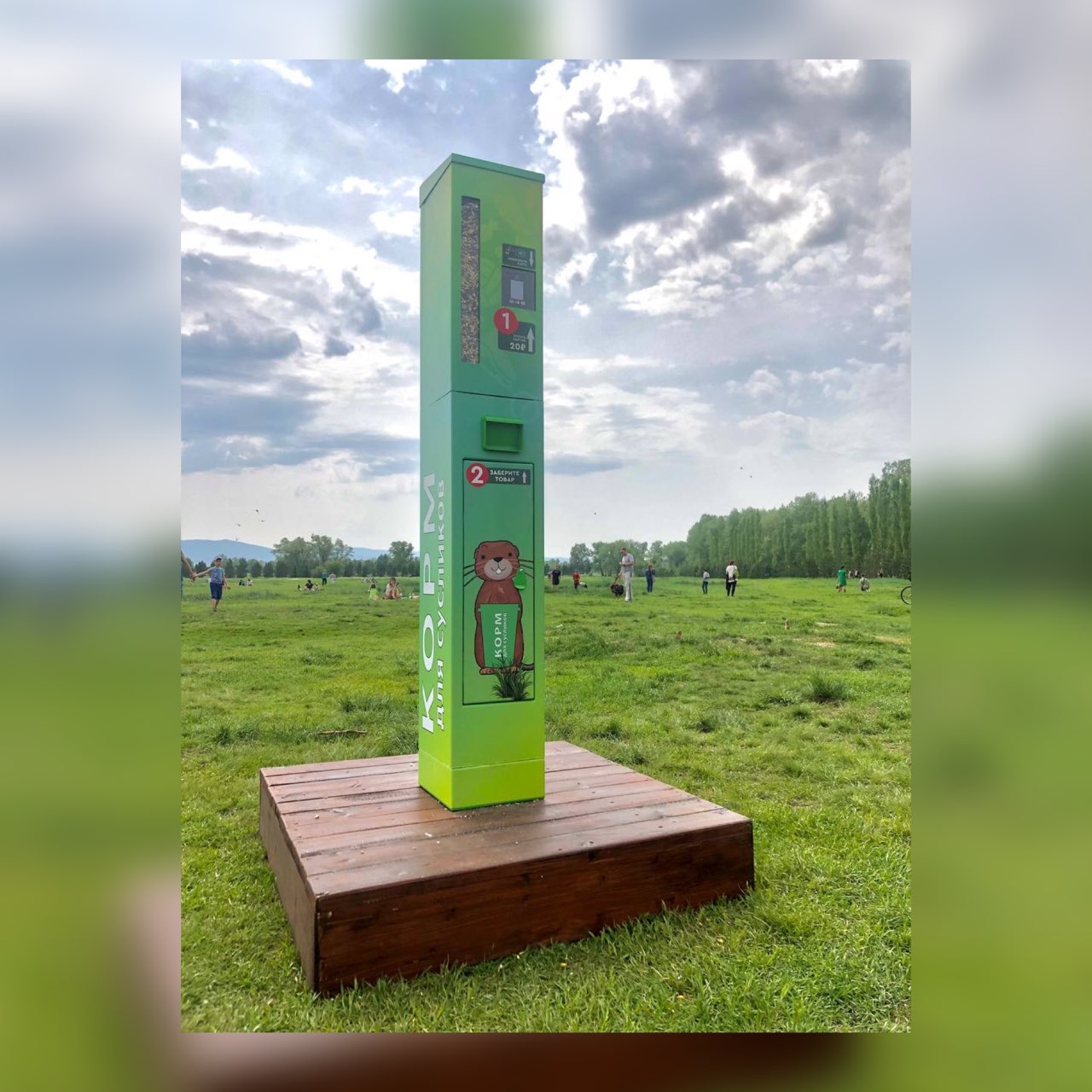В Красноярске на острове Татышев появился автомат с кормом для сусликов