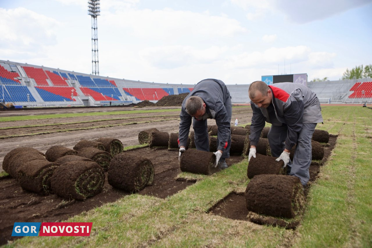 В Красноярске до конца июля уложат новое футбольное поле на Центральном  стадионе - Gornovosti.Ru