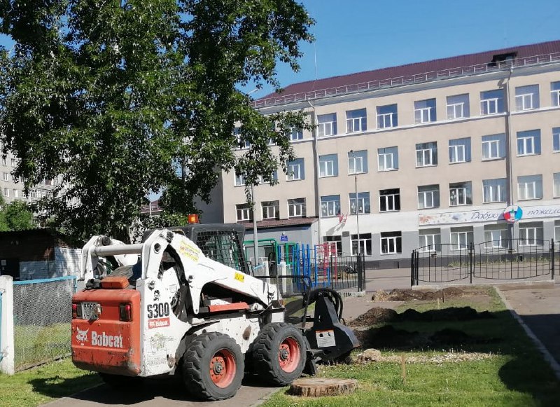 В Красноярске на улице Горького вместо старых тополей высадят яблоневый сад
