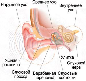 Воспаление среднего уха у детей (отит) - Семейная клиника 