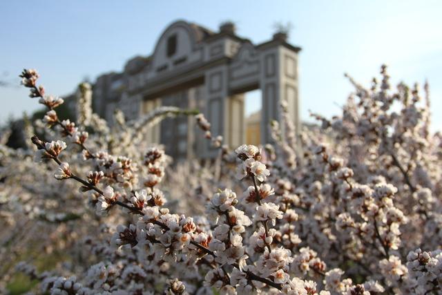 Весенний красноярск фото