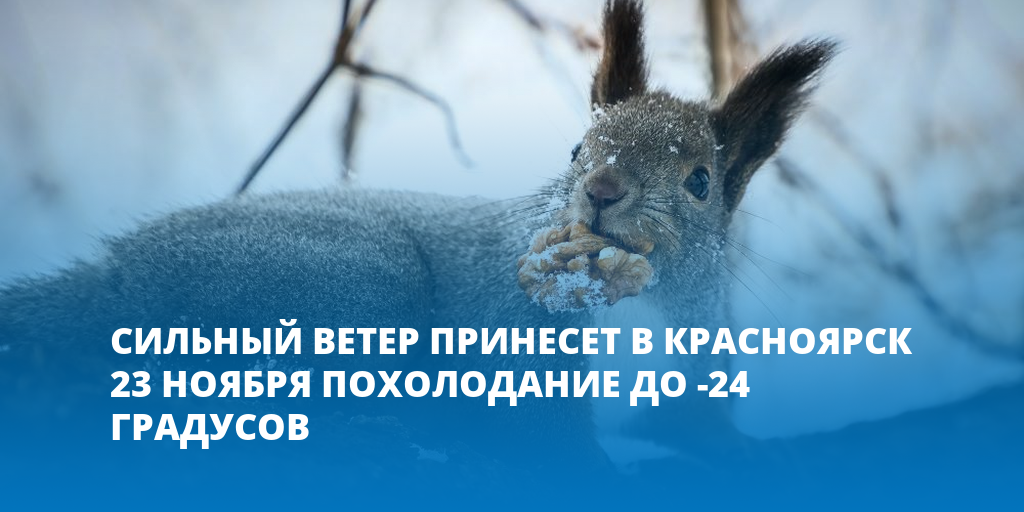 Красноярск 23 ноября. Хороших морозных выходных. Хороших выходных морозным ноябрем.