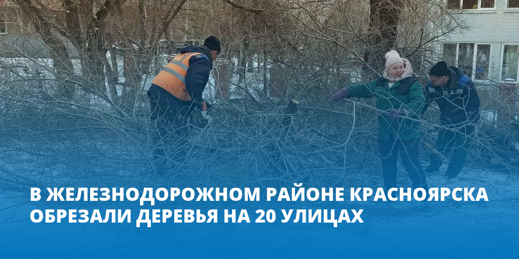 В Железнодорожном районе Красноярска обрезали деревья на 20 улицах