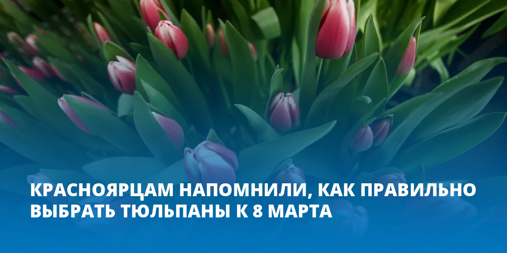 стадион 8 марта