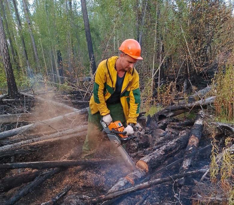 В Красноярском крае площадь лесных пожаров уменьшилась до 9,5 га