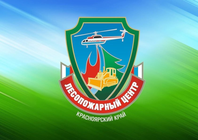 Жаркая погода в Красноярске вызвала всплеск лесных пожаров