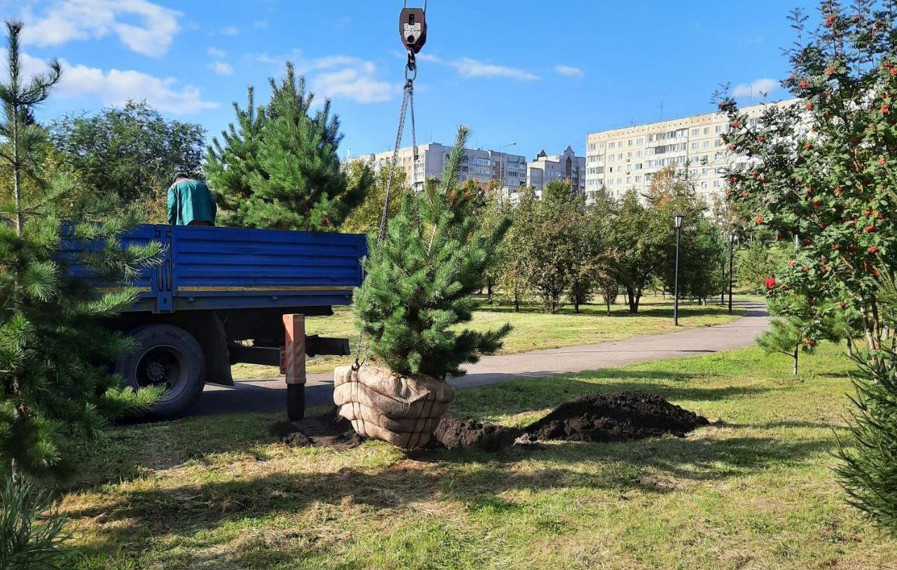 В Красноярске высадили сотни деревьев и кустарников в разных районах города