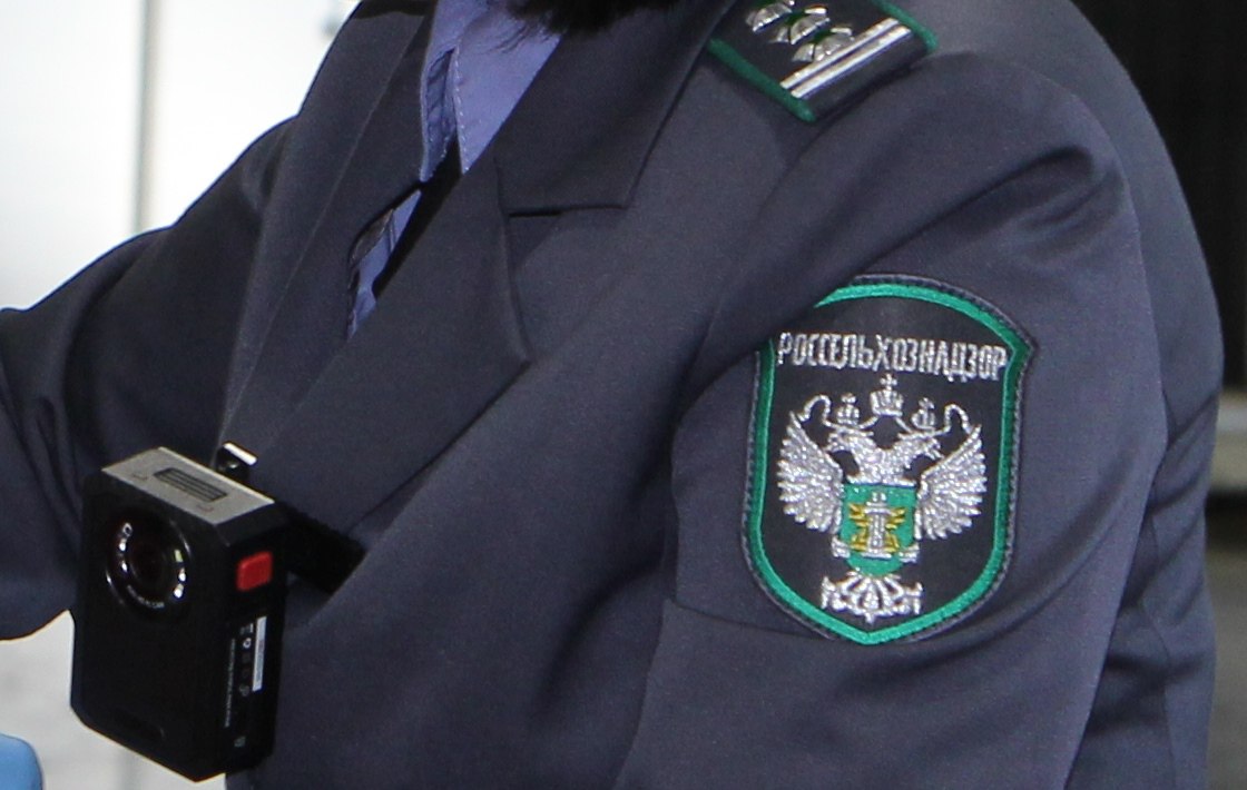 Жителя Дивногорска поймали на нарушениях при содержании овец и кур