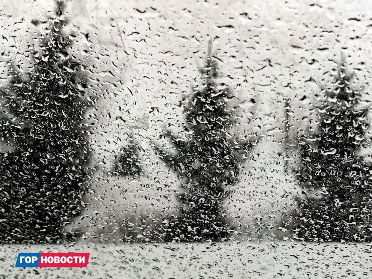 Жителей Красноярска предупредили о сильном ветре и гололедице