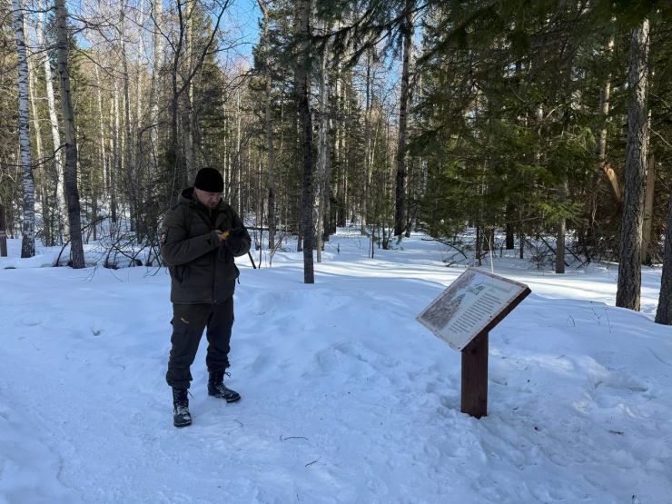 На «Красноярских Столбах» начали восстанавливать Каштаковский маршрут