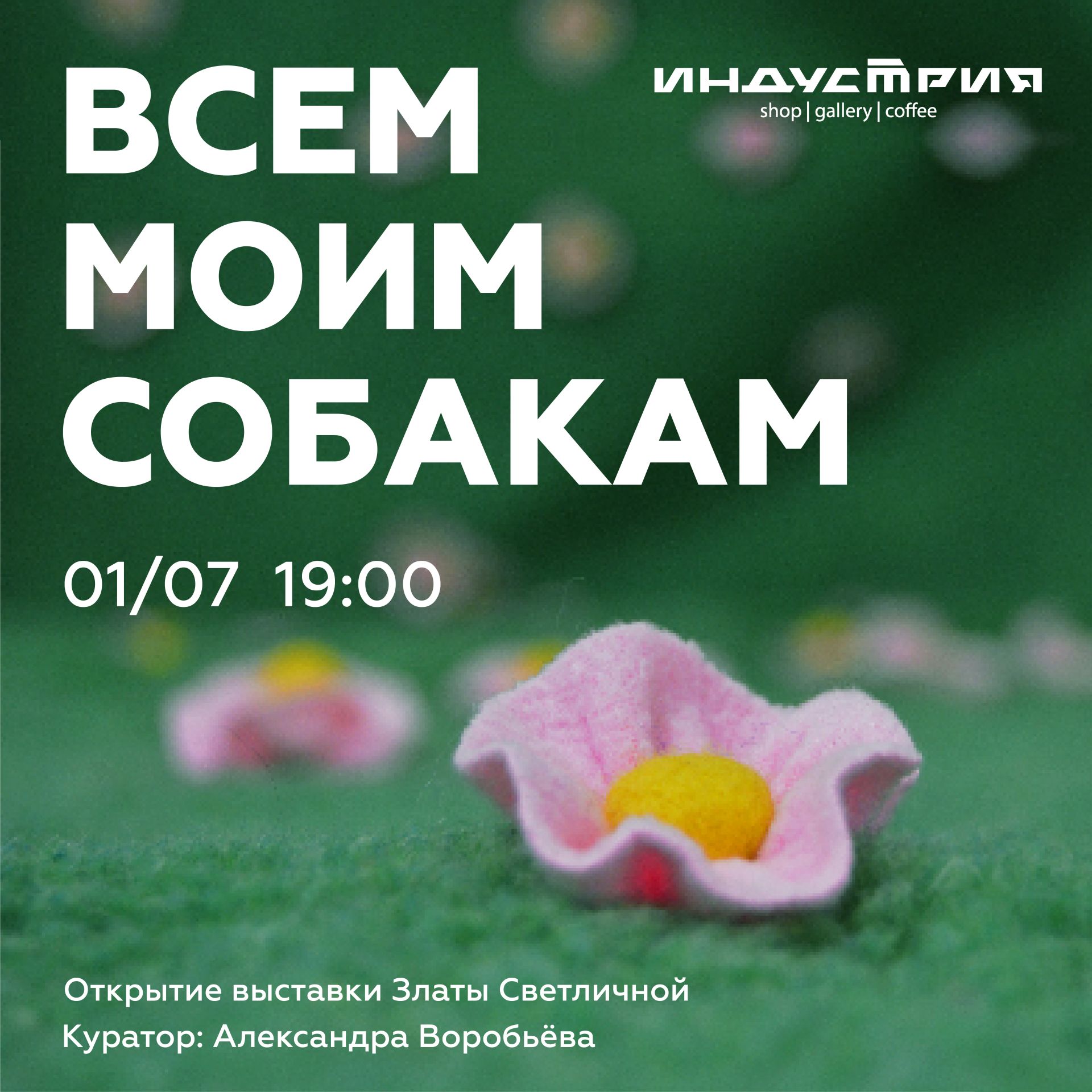 Завтра в Красноярске откроется трогательная выставка «Всем моим собакам»