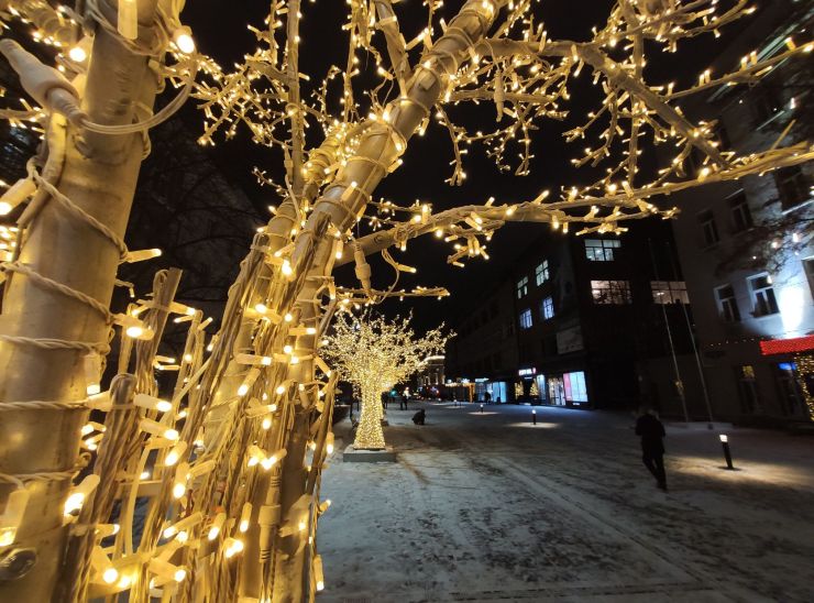 В Красноярске начинают устанавливать светящиеся деревья к Новому году