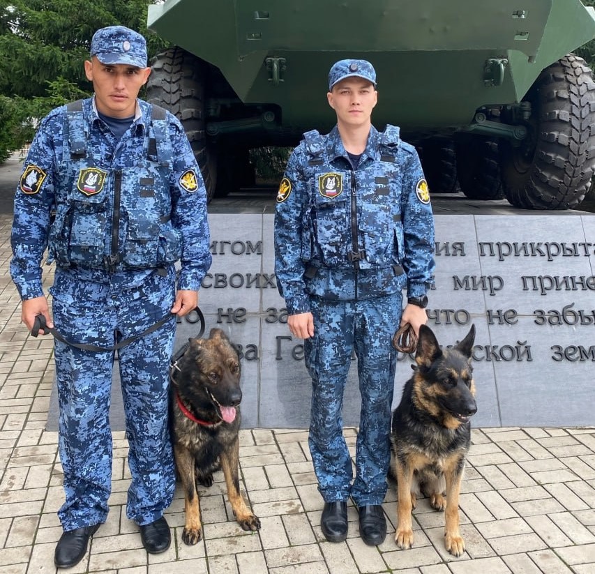 Кинологи ГУФСИН с собаками нашли потерявшегося в лесу грибника под Красноярском