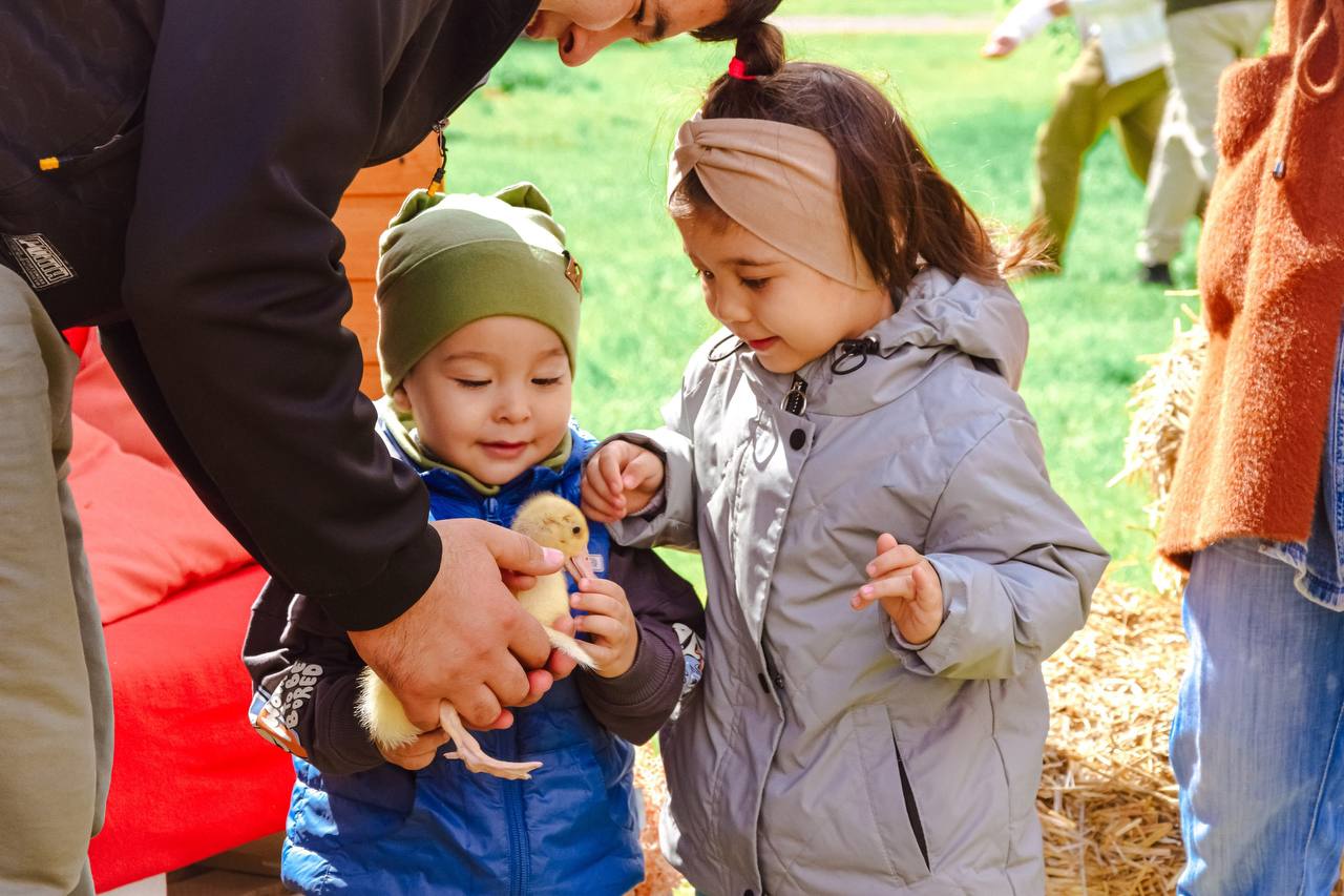 День защиты детей в Красноярске: куда сходить и что посмотреть