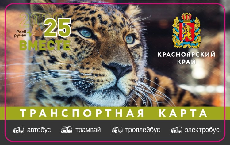В Красноярске выпустили лимитированные транспортные карты с питомцами «Роева ручья»