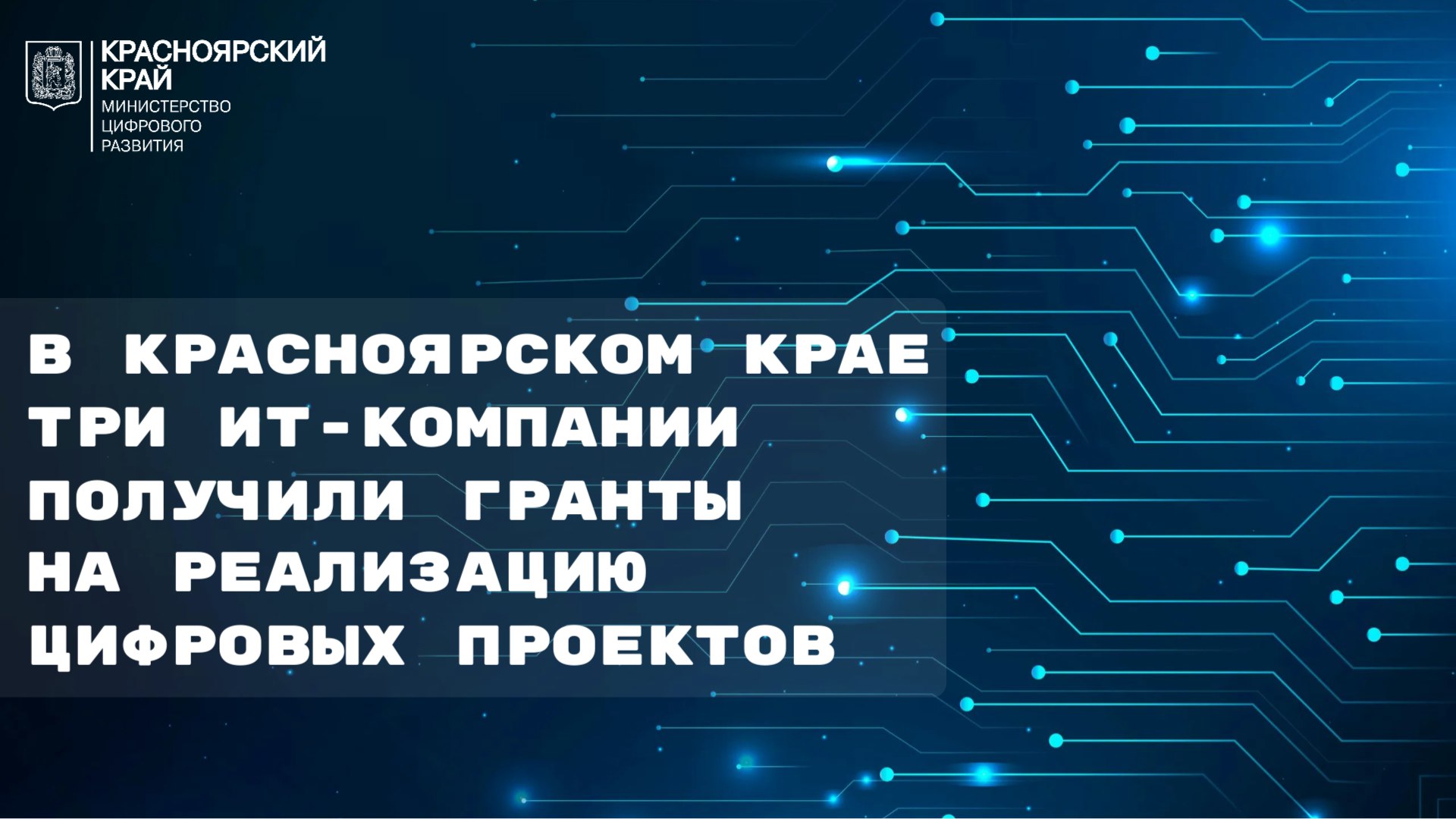 В Красноярском крае три ИТ-компании получили гранты на цифровые проекты