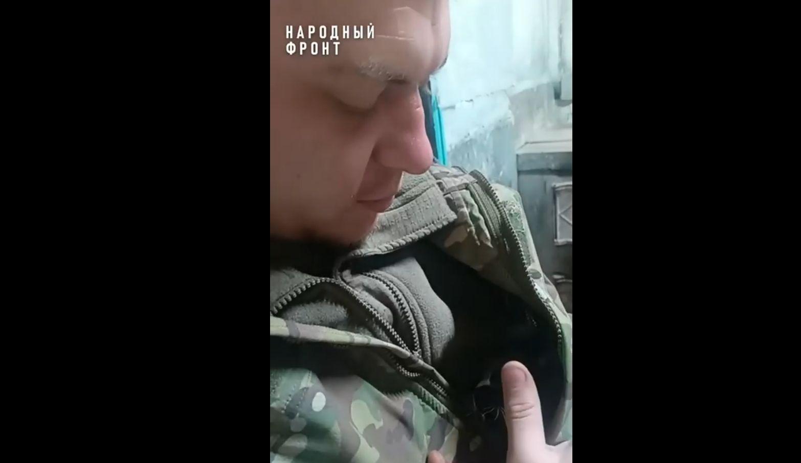 Красноярские бойцы СВО приютили котенка после задания