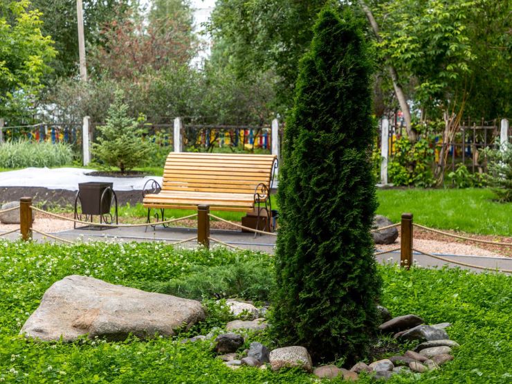 Красноярцы могут выиграть 100 тысяч рублей на озеленение своих дворов