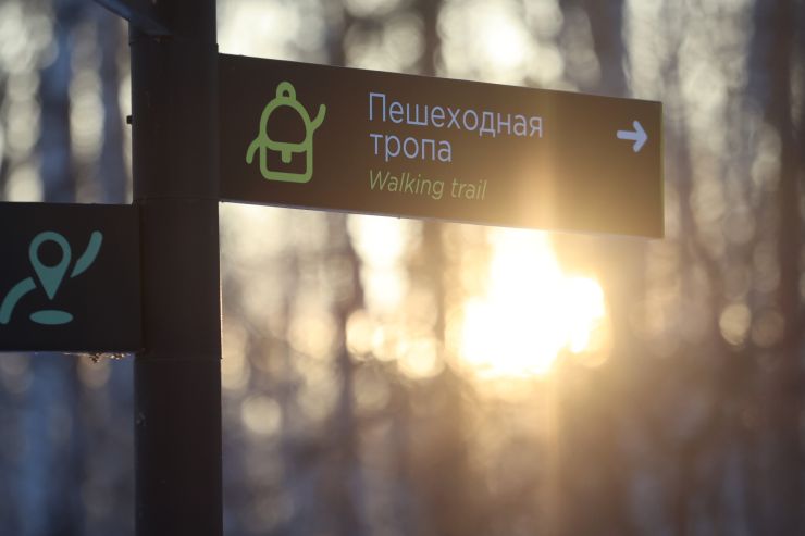 Красноярцев приглашают пройти 10 тысяч шагов в «Гремячей гриве»