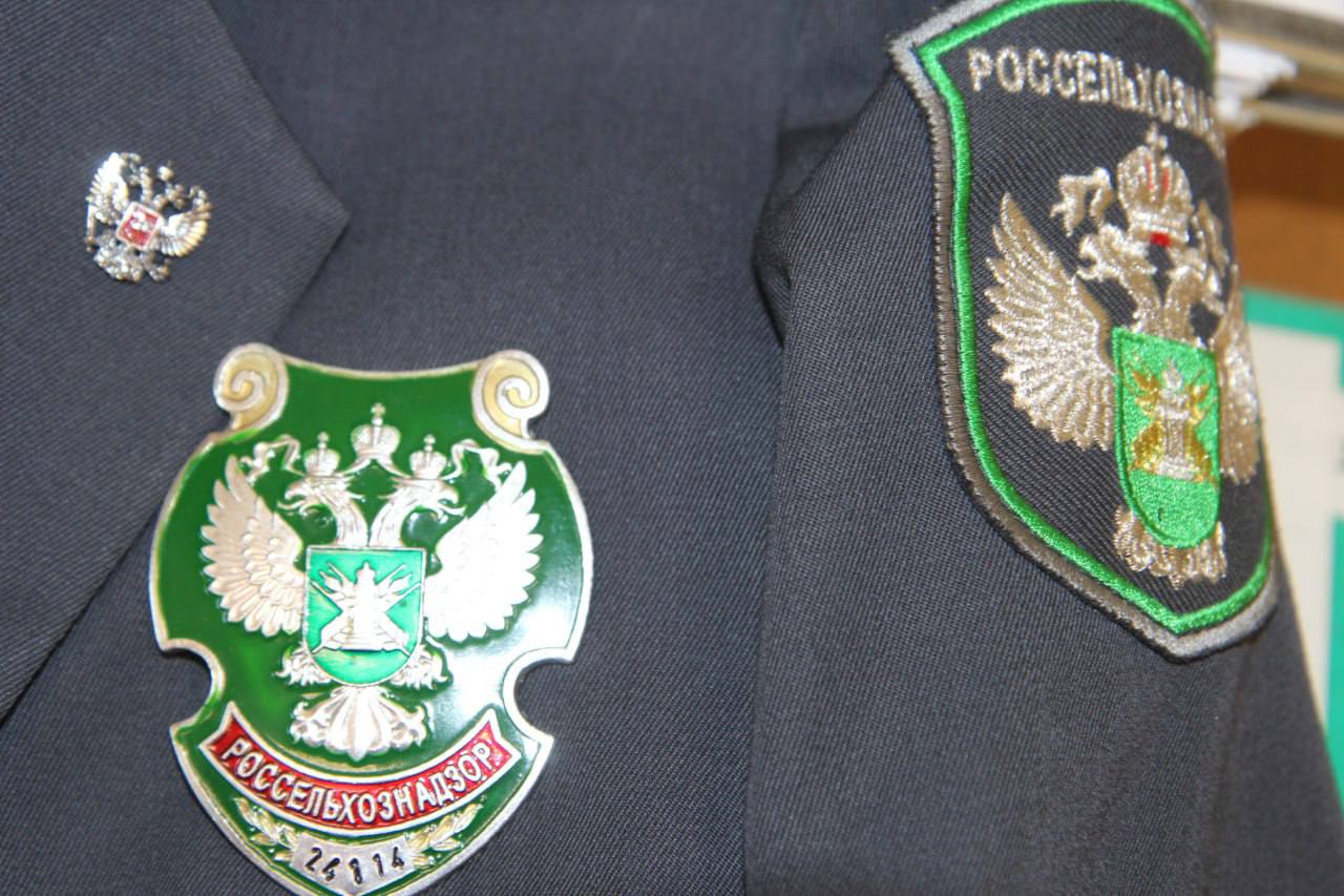 В Шушенском запретили продавать семена незарегистрированных растений