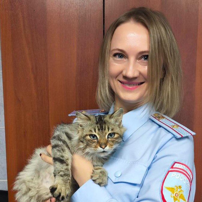 Полицейские из Шарыпова пригрели в отделении раненого кота