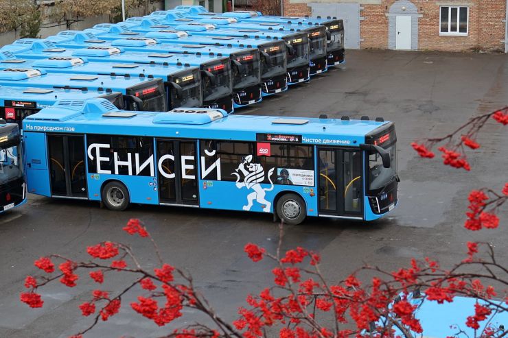Новые газовые автобусы выйдут еще на два маршрута в Красноярске