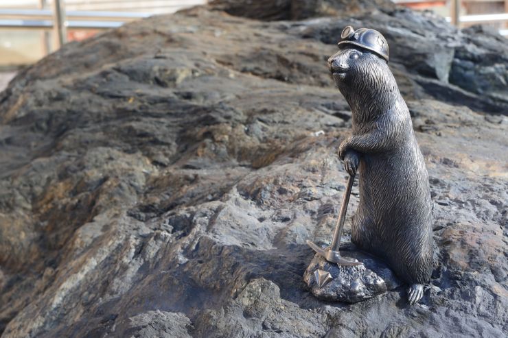 Суслик Гоша поселился у Института цветных металлов в Красноярске