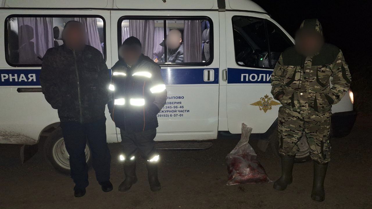 В Красноярском крае задержали троих охотников с мясом косули