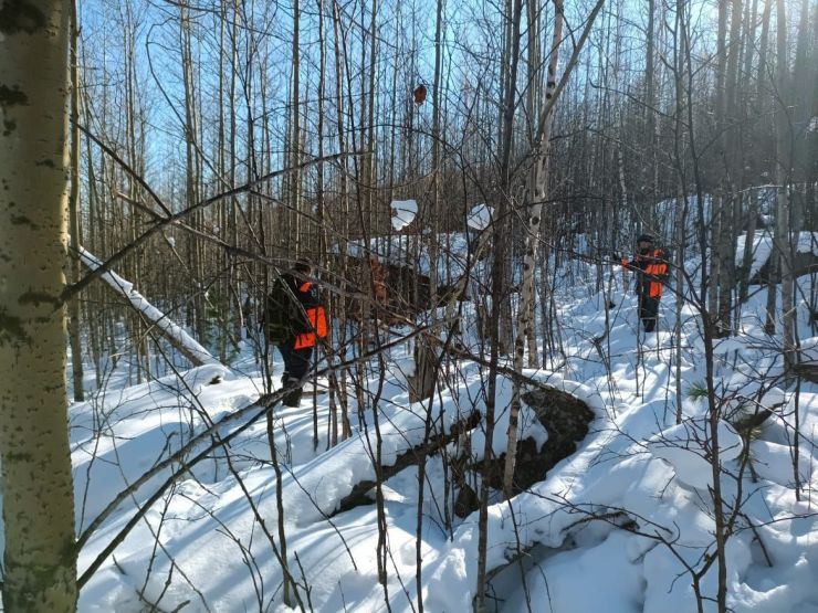 Расследование дела об исчезновении семьи Усольцевых продолжается 