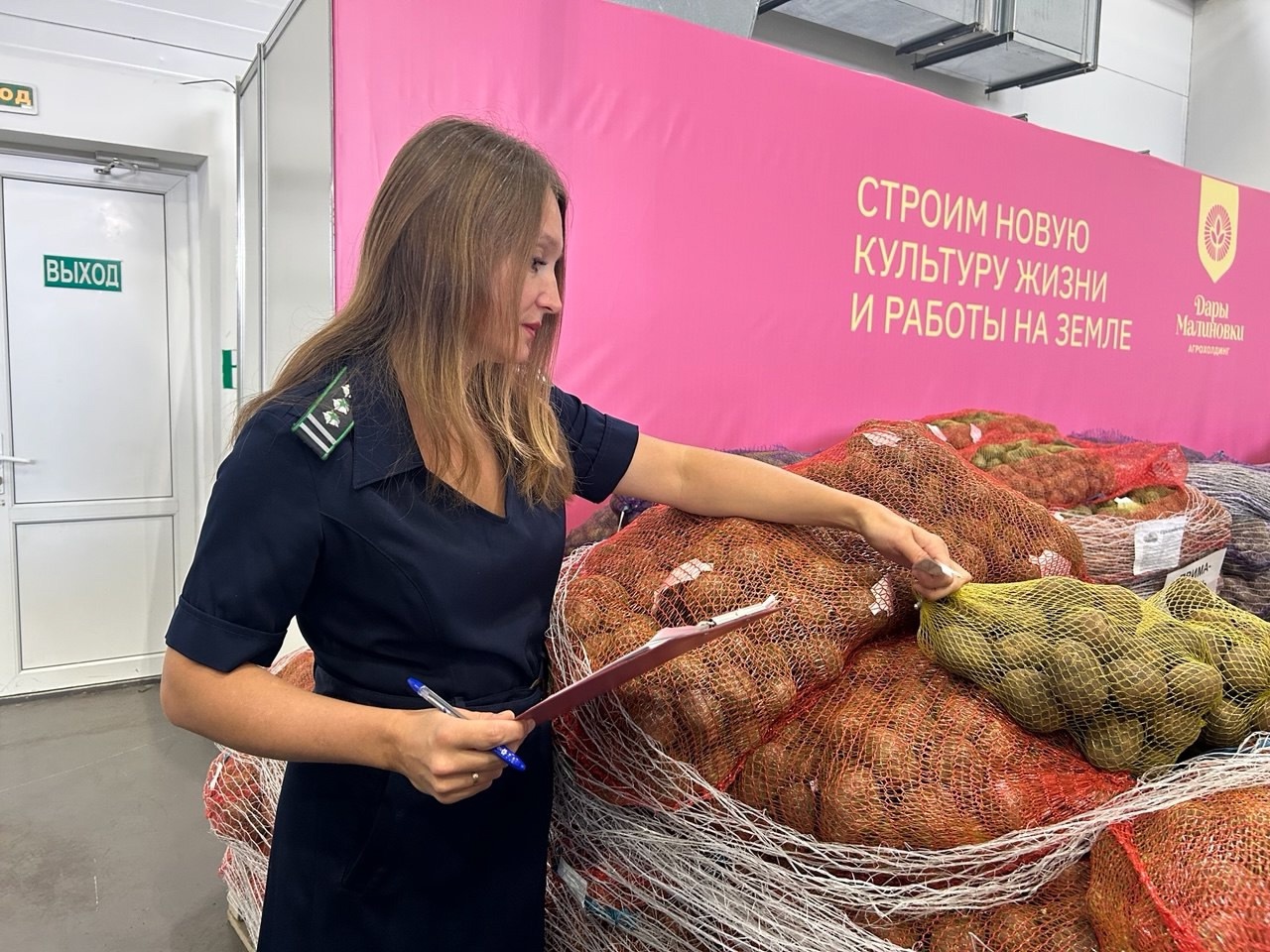 Чтобы картошка уродилась: Самые надёжные клубнеплоды включены в Государственный реестр сортов и гибридов