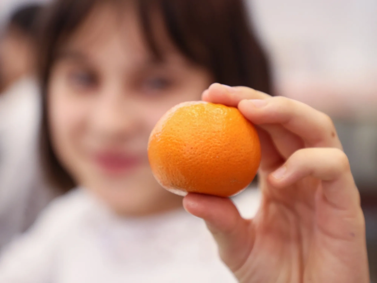 Красноярцам рассказали о пользе витамина С